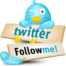 buy twitter followers through twitter growth service