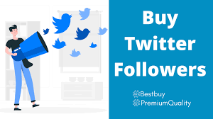 How to buy followers on Twitter