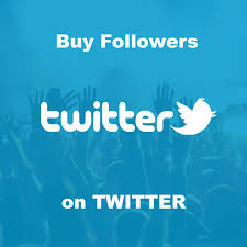 buy followers on twitter