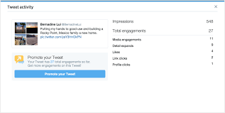 what does twitter analytics accomplish - who views your twitter account