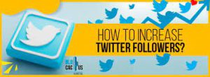increase your Twitter following