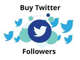 pay for twitter followers