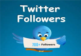 buy 1000 twitter followers
